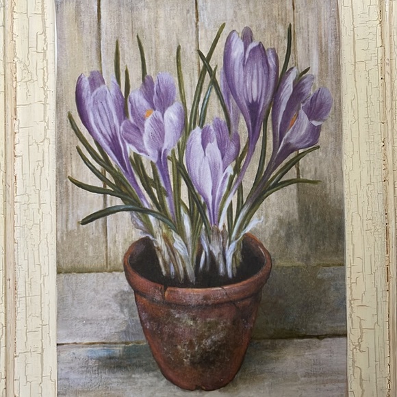 Floral print potted purple plant. Great accent to your home - Picture 2 of 4